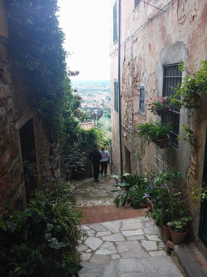 Residenza Buggiano Antica B&B - Charme Apartment In Tuscany Борго-а-Буджано Екстер'єр фото